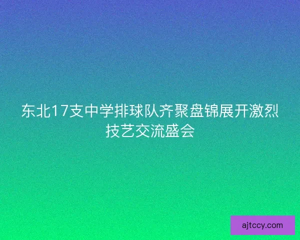 东北17支中学排球队齐聚盘锦展开激烈技艺交流盛会